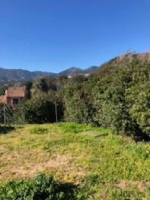 Villa En Corse Du Sud Entre Mer Et Montagne Peri Zewnętrze zdjęcie